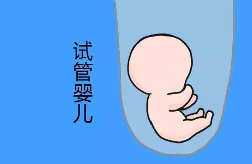 三代供卵试管平台